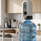 Automatic Water Dispenser